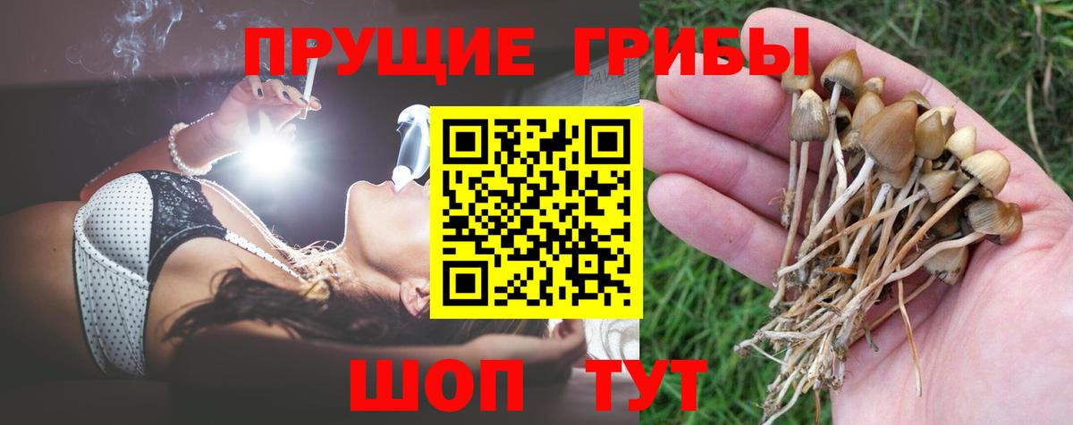 Галлюциногенные грибы MAGIC MUSHROOMS  Галлюциногенные грибы прущие грибы  Железногорск  Вход с VPN 